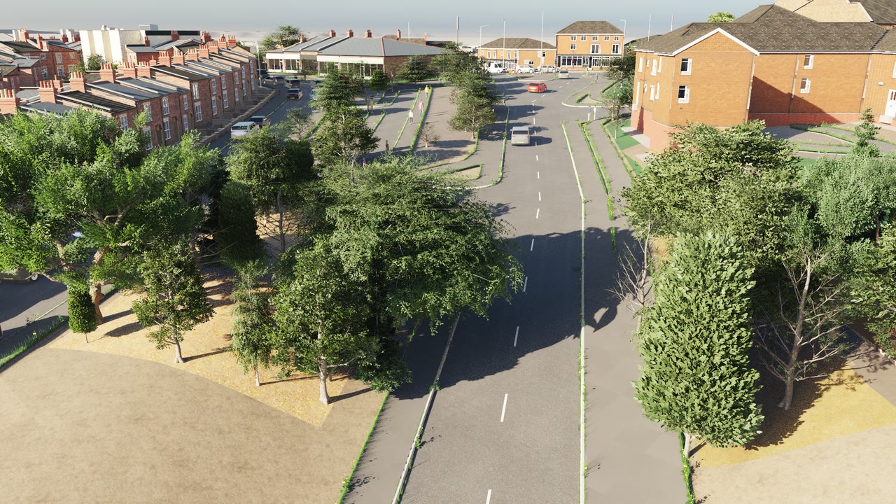 Broadleaf and conifer trees in a VeriStreet development scene, viewed from above with overlapping crowns beside a junction.
